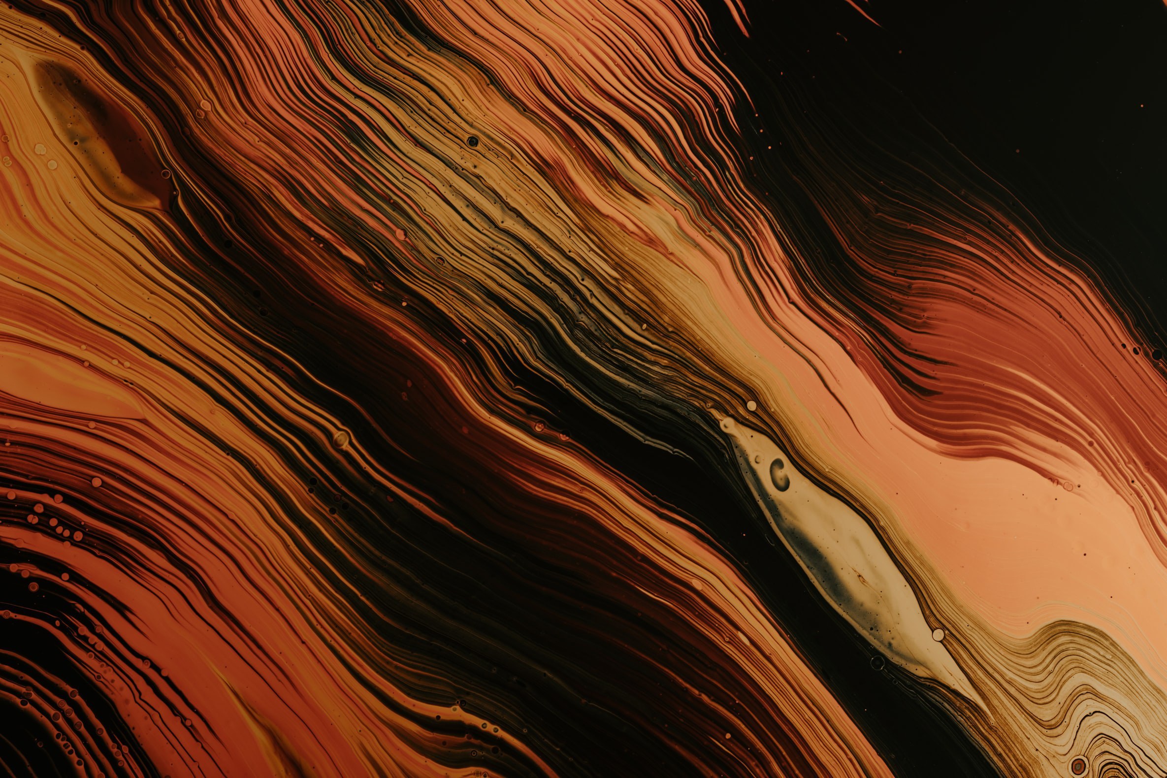 Texture 6